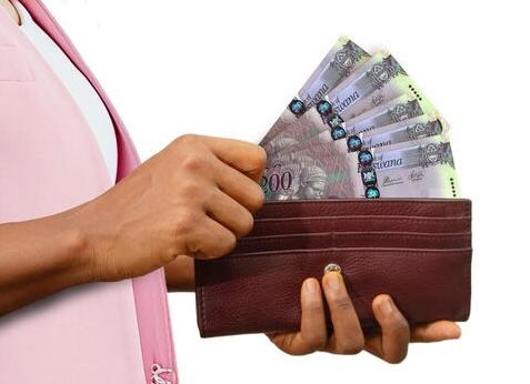 Growth Support Capital Contact